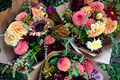 Weaverville Subscription Delivery